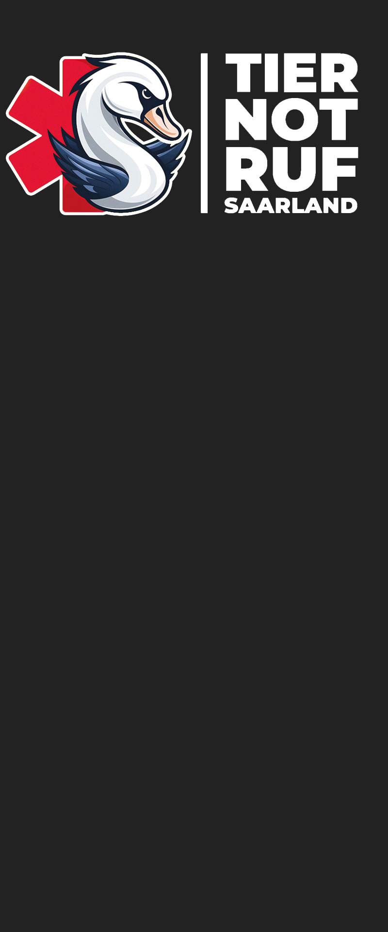 banner_web2 banner_web2